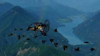 birds following an aircraft