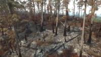 Tasmania fire damage