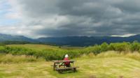 Auchingarrich wildlife park near Comrie, Perthshire