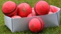 Cricket balls