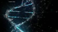 DNA double helix