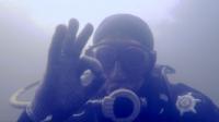 diver