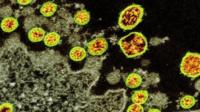 Coronavirus