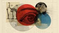 Artistic impression of extinction and worry