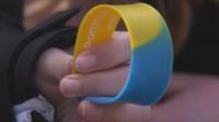Wristband