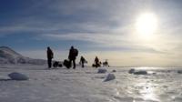 Antarctica