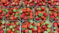 strawberry punnets