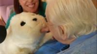 Mistura de bicho de pelúcia e computador altamente sofisticado oferece benefícios semelhantes aos da terapia tradicional com animais.