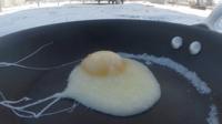 Frozen egg in the cold