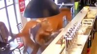The animal ran amok after escaping its handler in Chantilly, France,