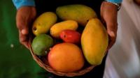 Mangoes in a basket