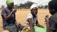 Des femmes en train de manger