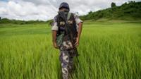ရခိုင်