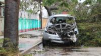 Car hit by fallen tree
