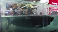 Robo-shark