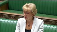 Andrea Leadsom