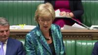 Andrea Leadsom
