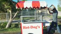 Hot Dog cart
