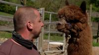 A man with an alpaca