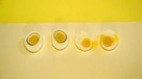 Eggs graphic