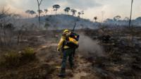 Amazon fires