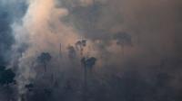 Amazon burning