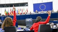 Voting in the European Parliament