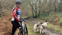 Sarah Lane and dogs