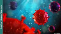An artist's impression the HIV virus