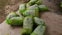NDLEA arrest man wey carry 244 PVCs