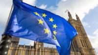 UK parliament and EU flag