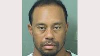 Tiger Woods mugshot