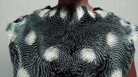 Reactive clothing