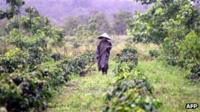 Farmer in rain, Bolaven plateau (2003)