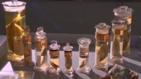Items from Cambridge's Museum of Zoology