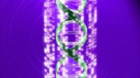 Part of a DNA autoradiogram