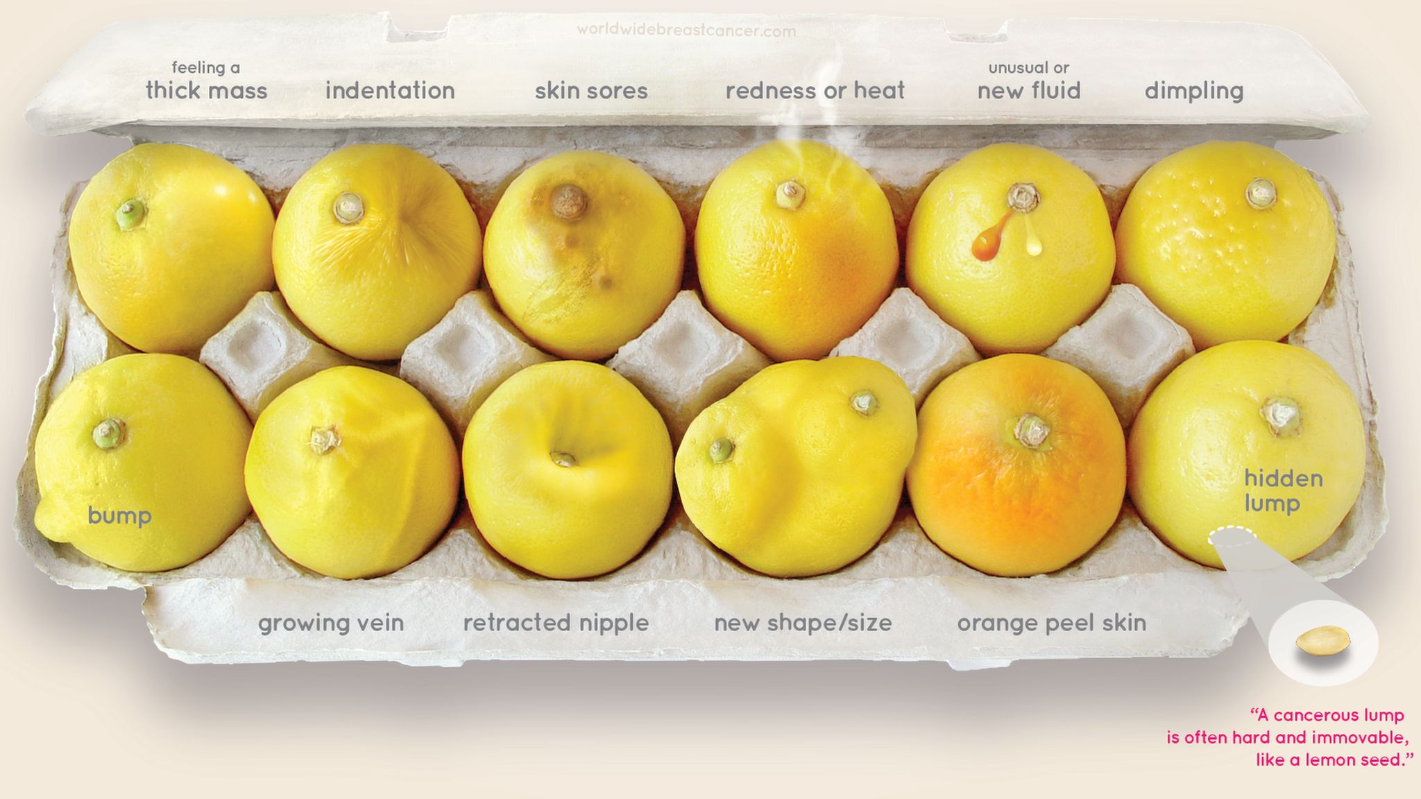 The signs of breast cancer, as shown on lemons