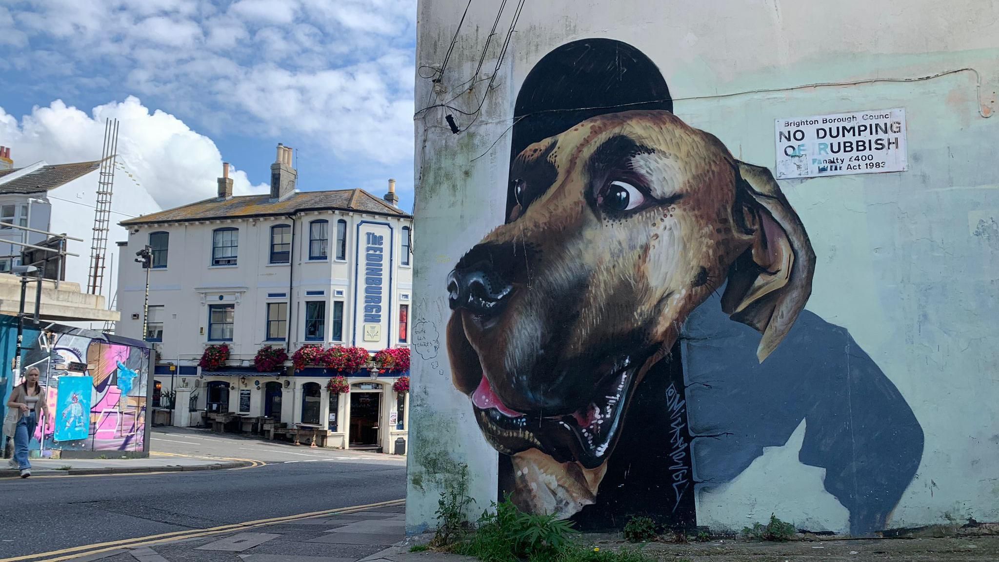 Graffiti image of dog, Brighton, UK