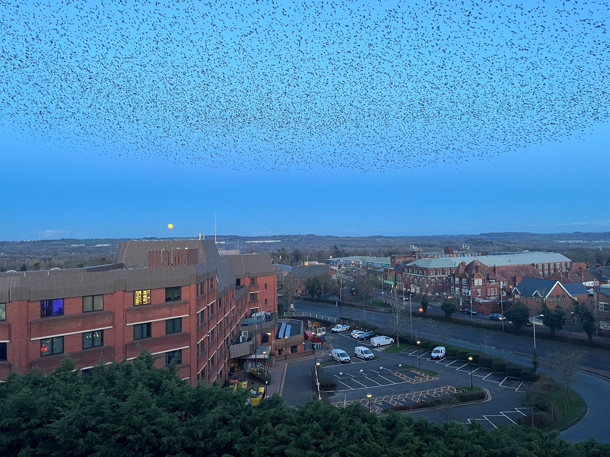The murmuration over the skyline of Redditch