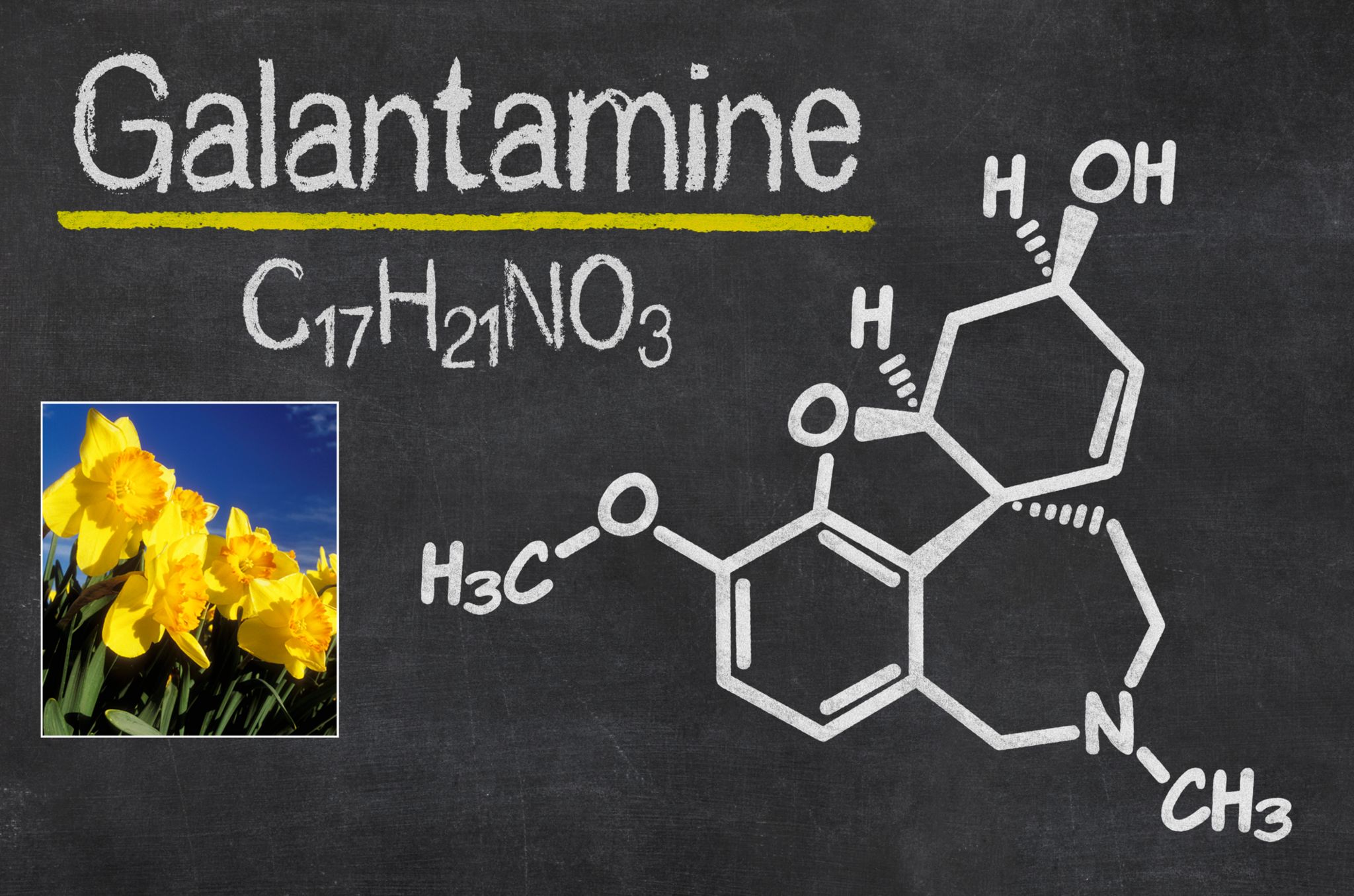 The chemical formula of Galantamine and daffodils (inset)
