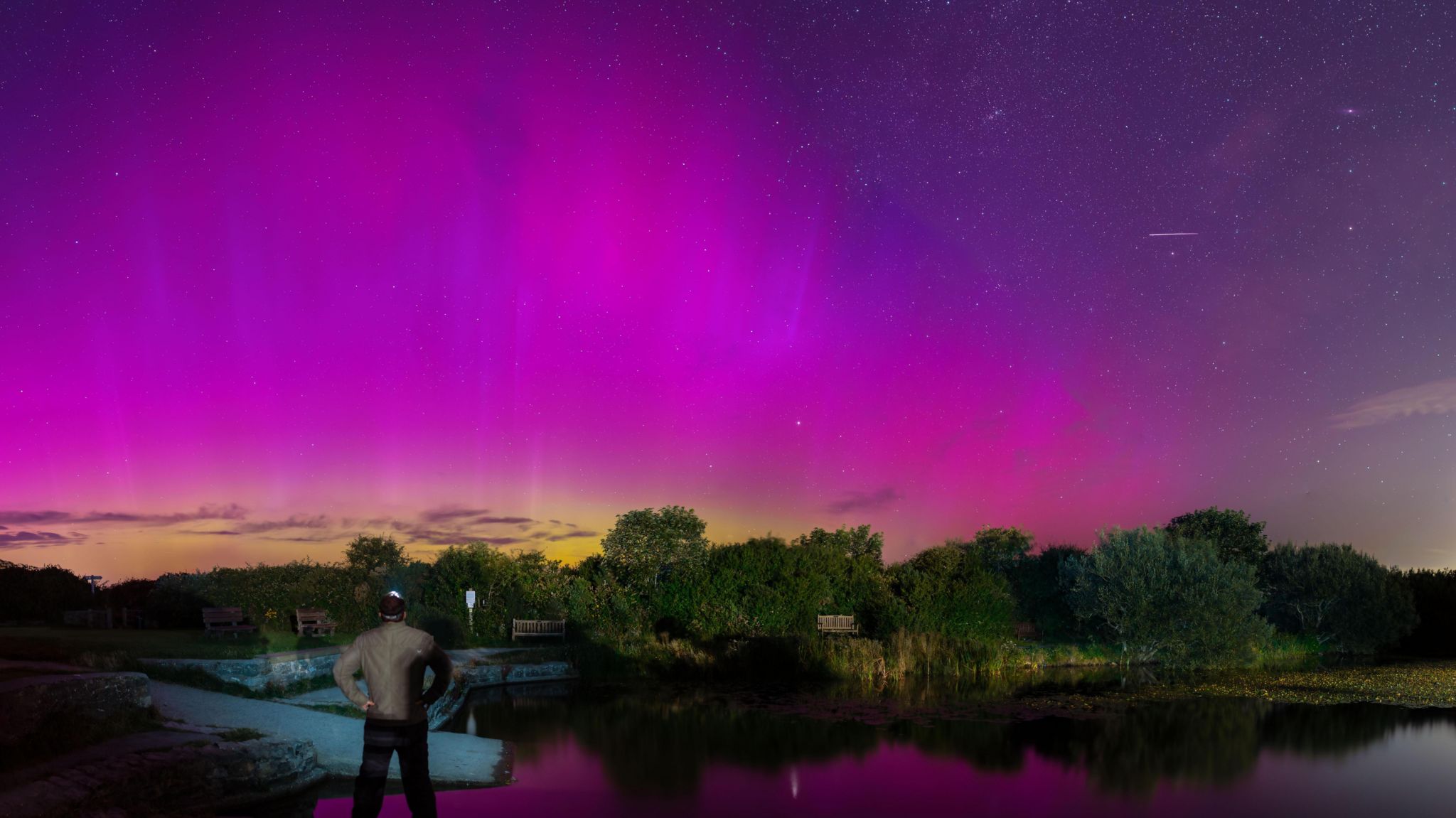 at night, in the foreground is a a man looking out across a body of water with trees on the horizon.  The night sky above is filled with different shades of purple of the northern lights.  A small streak of white light is seen in the top corner - a meteor.