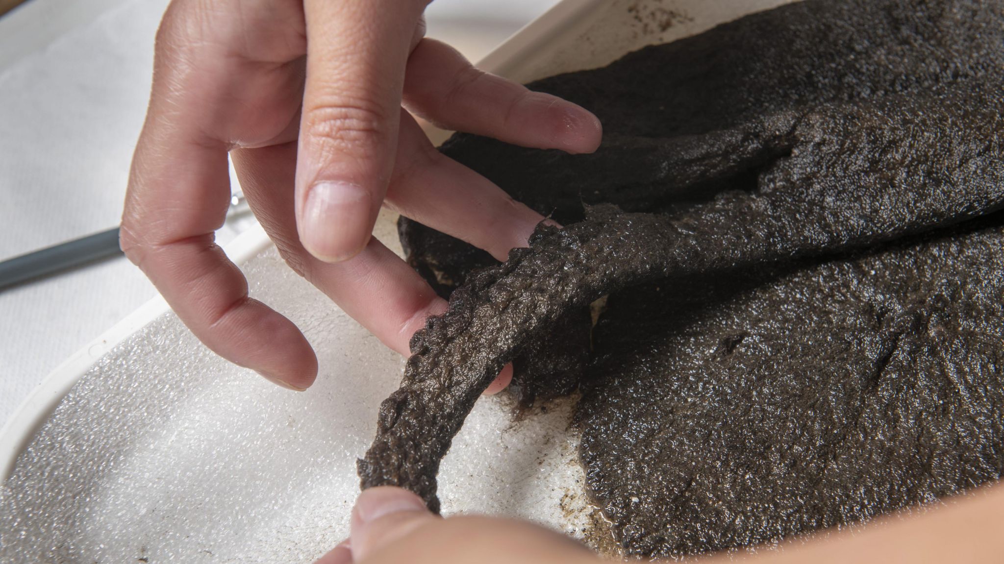 This knitted woollen cap survived in the river mud for 500 years