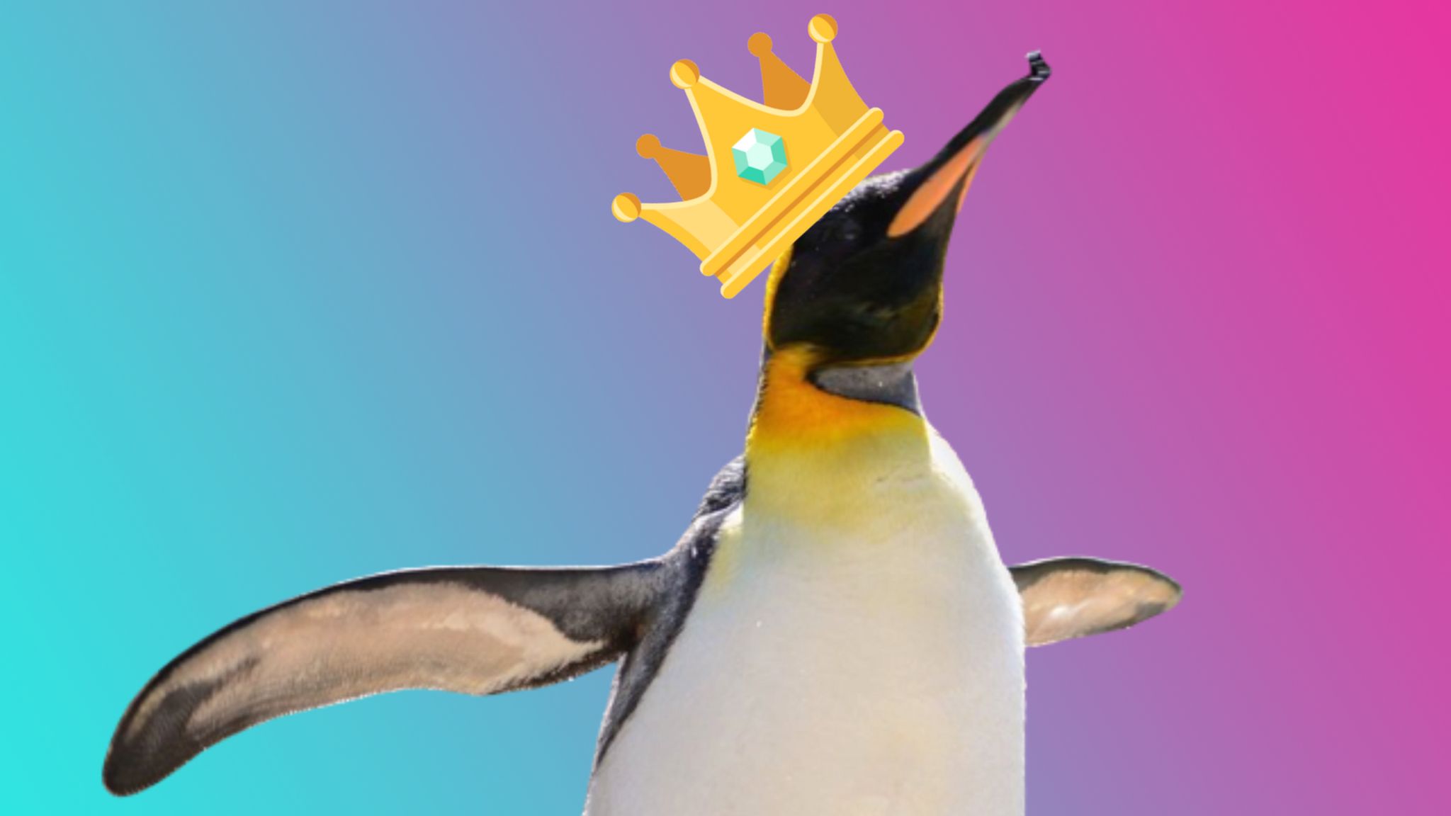 spike the penguin