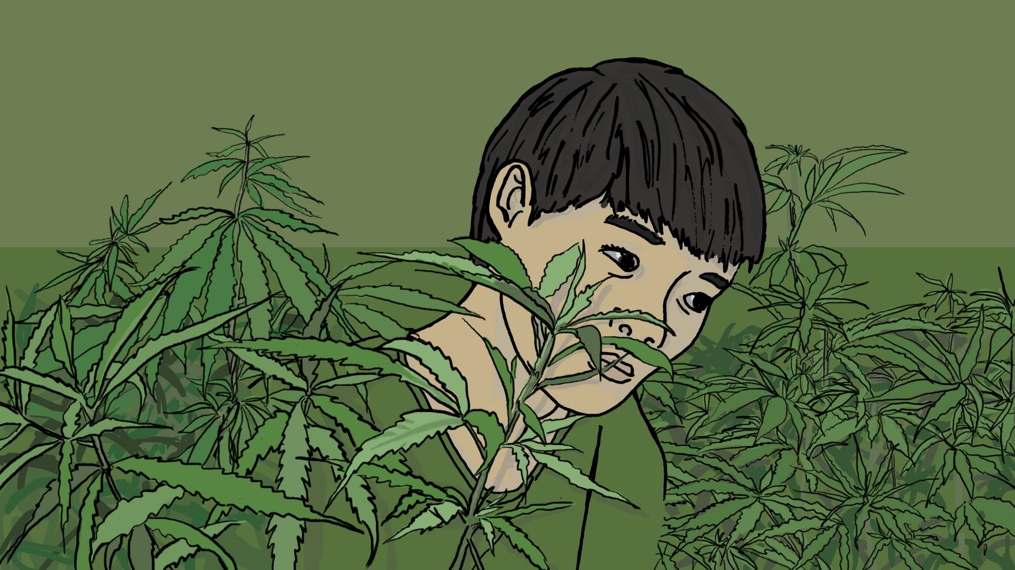 How a boy from Vietnam became a slave on a UK cannabis farm