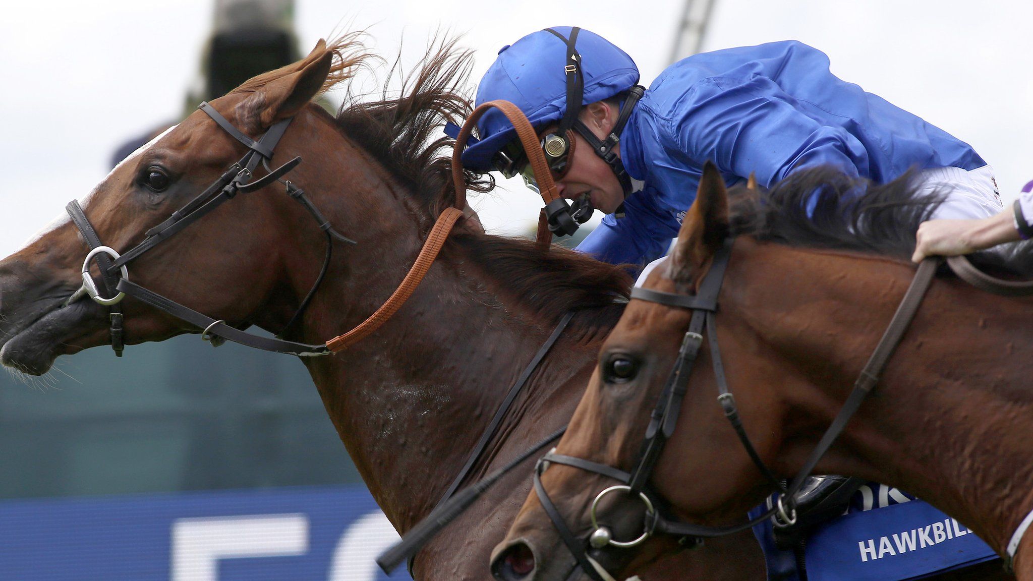 Hawkbill wins the Coral-Eclipse Stakes