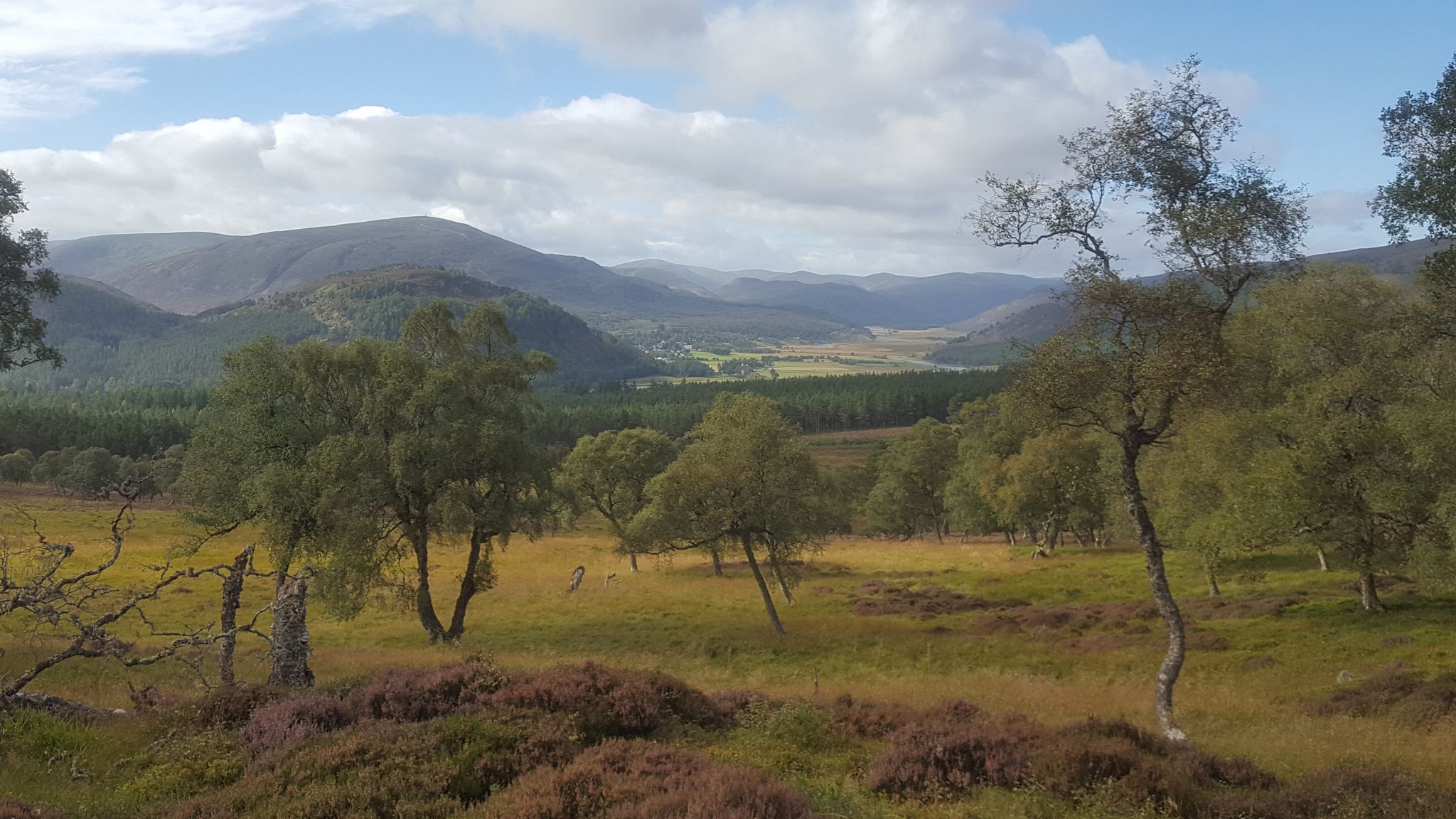 Dee Valley