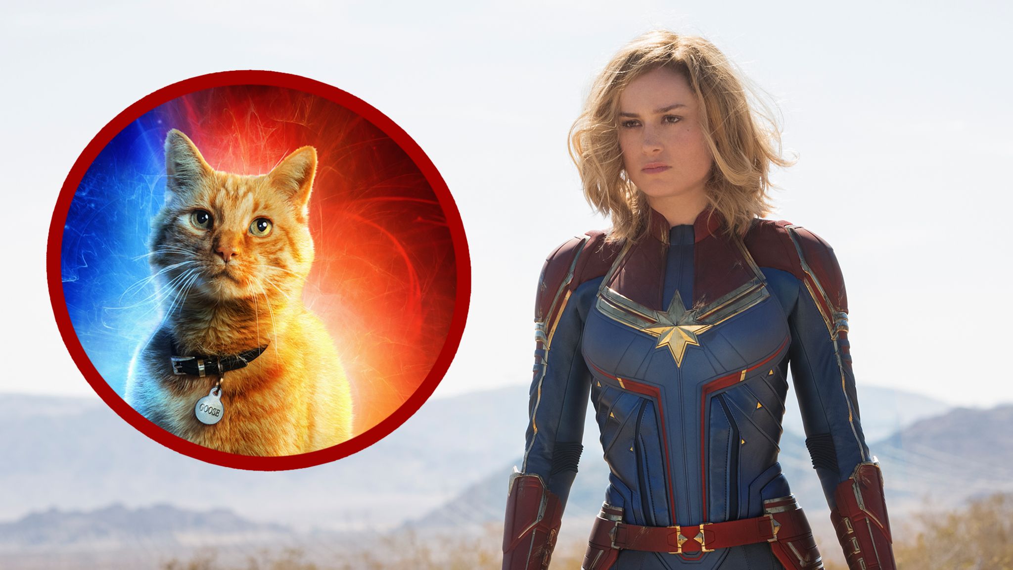 The Marvels review: Brie Larson leads a film of girls, cats, and