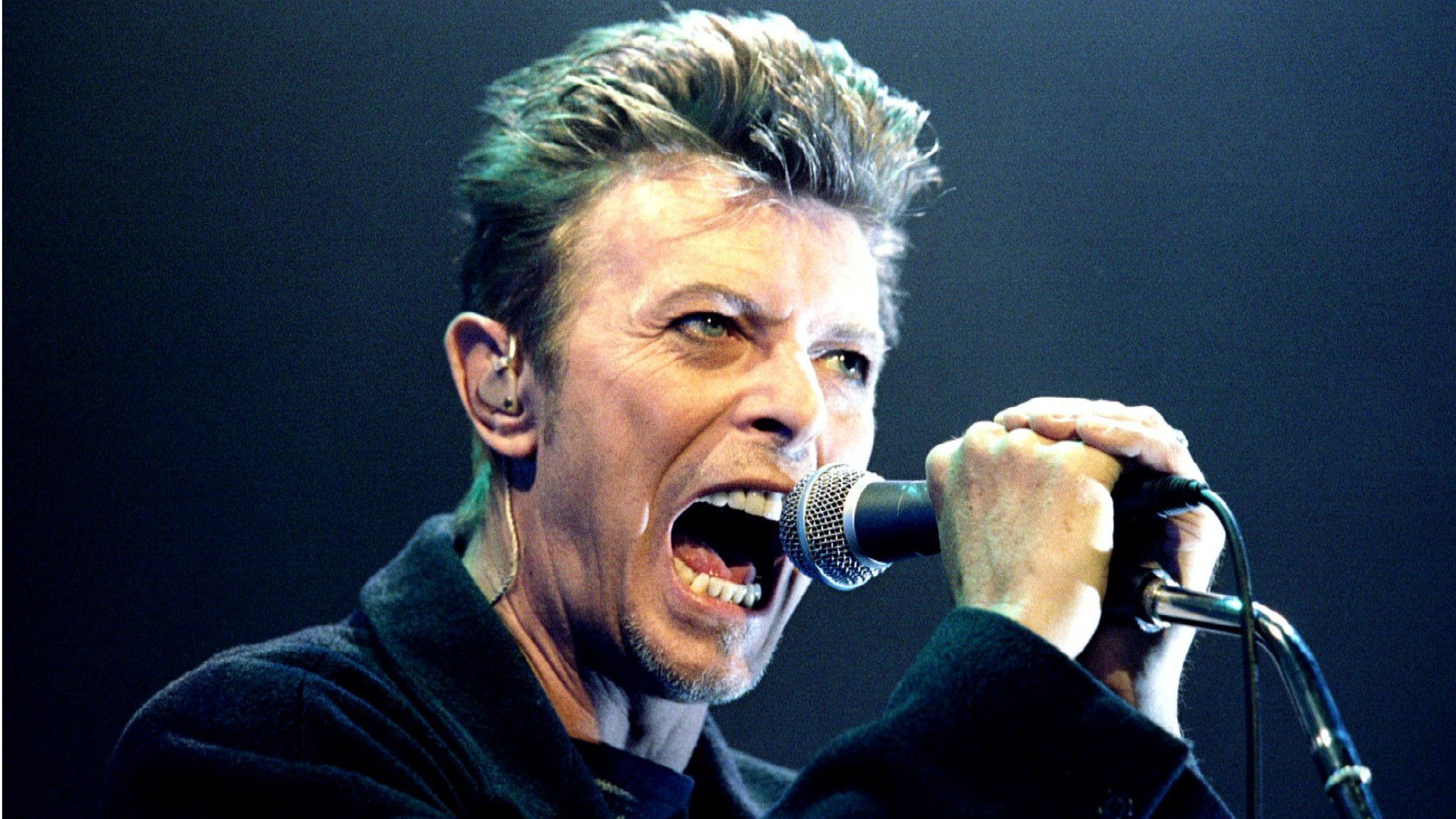 David Bowie performs during a concert in Vienna, Austria in this February 4, 1996 file photo