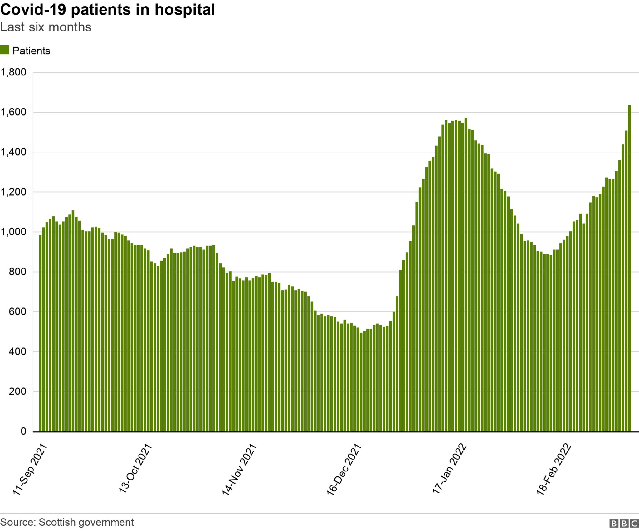 Chart showing the number of patients in Scotland's hospitals over six months, peaking on 10 March