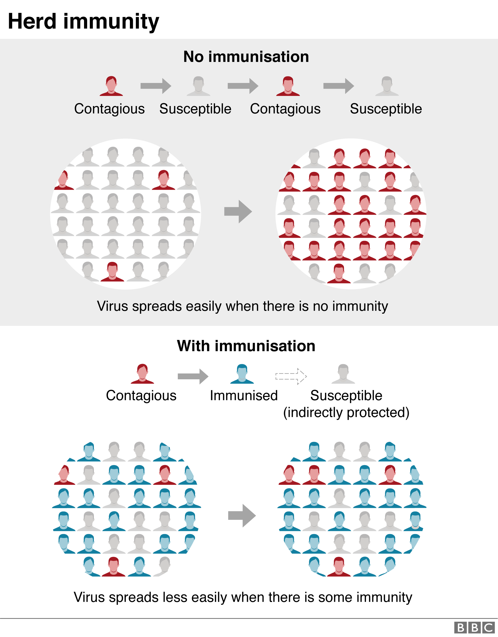 Coronavirus Did 'herd immunity' change the course of the outbreak